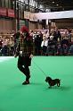 Crufts2011_2 882